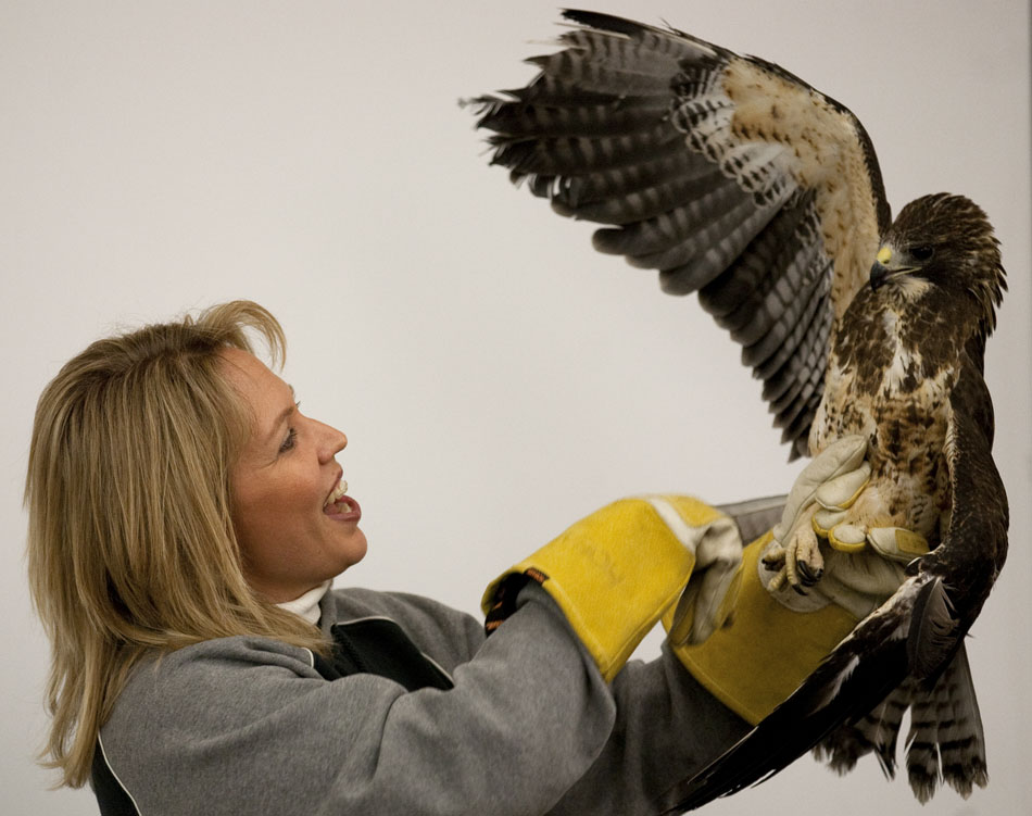 Cheyenne Pet Clinic's Laura Conn holds Noel, a Swainson's Hawk, as she speaks to Alice Haskin's third-grade class about birds of prey on Friday, March 18, 2011, at Sunrise Elementary in Cheyenne.