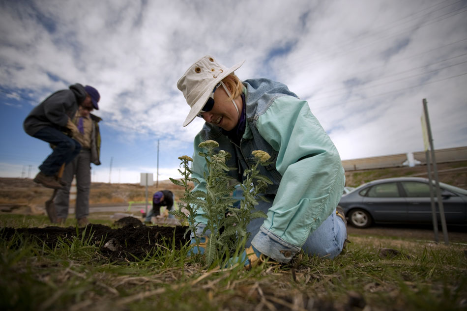 Heather Sachse plants flowers on an embankment along Ames Avenue on Saturday, April 16, 2011, in Cheyenne. Sachse was one of several other volunteers who came out at 10 a.m. to plant trees along the slopes of the Union Pacific rail yard.