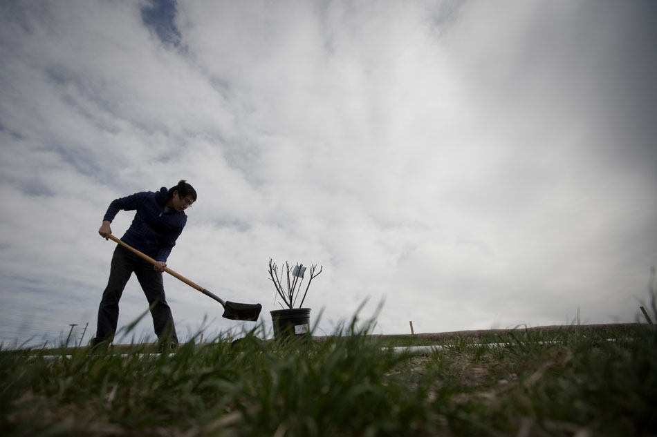 Haibi Wang shovels out a hole to plant a tree on Saturday, April 16, 2011, along a slope bordering the Union Pacific rail yard in Cheyenne. Volunteers planted several trees, shrubs and flowers along the embankment at 10 a.m. Saturday.