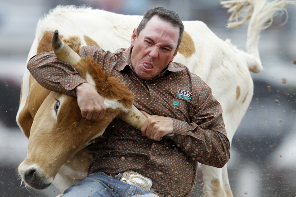 Jim Pat Smith from Melrose, Mont. wrestles a steer to the ground during the Cheyenne Frontier Days rodeo on Tuesday, July 26, 2011, at Frontier Park. Smith logged a time of 11.2 seconds.