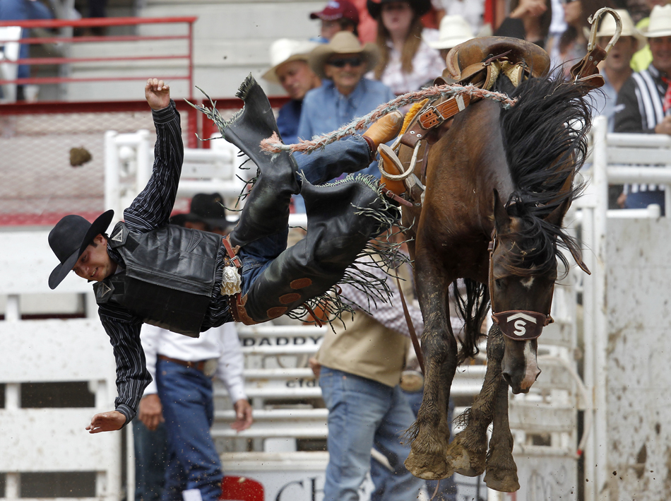 Brett Burman rides a horse named Famous Daves in the rookie saddle bronc division during the Cheyenne Frontier Days rodeo on Tuesday, July 26, 2011, at Frontier Park. Burman was thrown from the horse, receiving no score for the ride.
