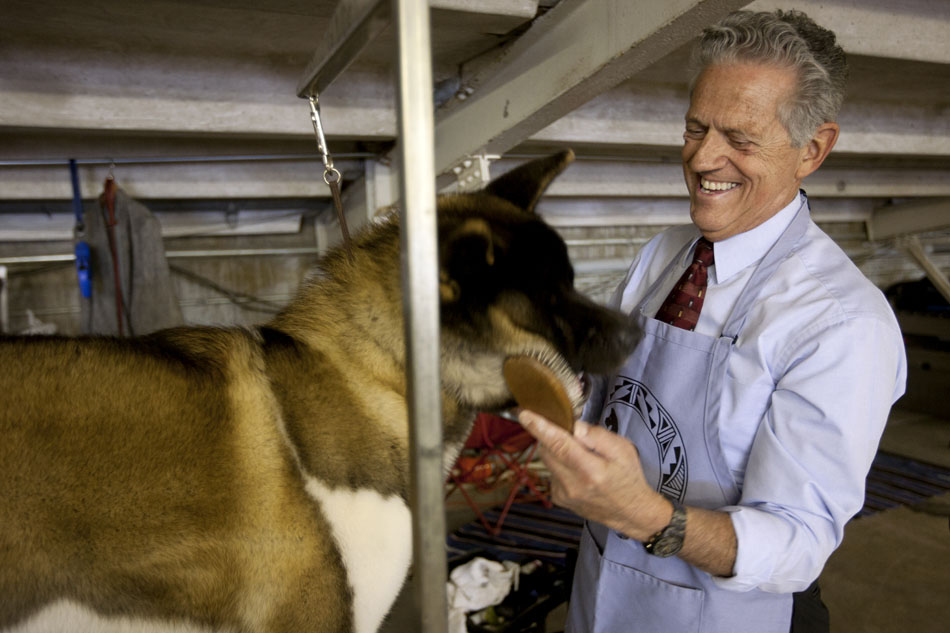 Nick Fotiades from Loveland, Colo. laughs as he brushes his dog, Huckabee, an Akita breed, during the American Kennel Club dog show on Saturday, Sept. 3, 2011, at Frontier Park in Cheyenne.