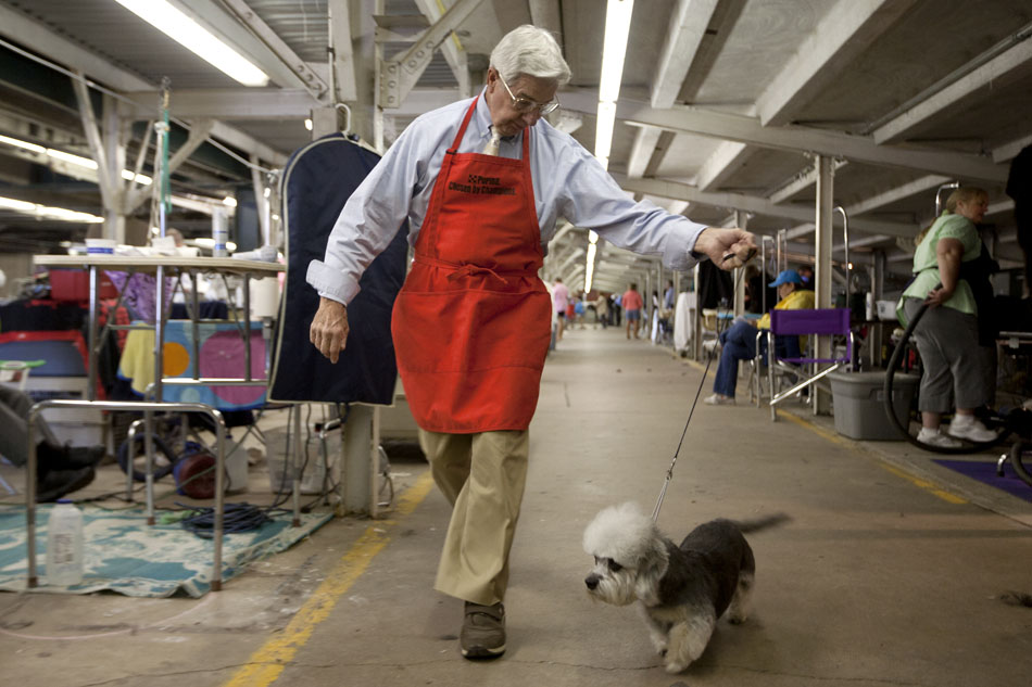 Bill Ellis from Lakespur, Colo. takes his dog, Spunky, a Dandie Dinmont Terrier, for a spin around the dog grooming area before competition in the American Kennel Club dog show on Saturday, Sept. 3, 2011, at Frontier Park in Cheyenne.